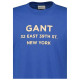 Gant Ανδρική κοντομάνιικη μπλούζα Graphic Printed Tee